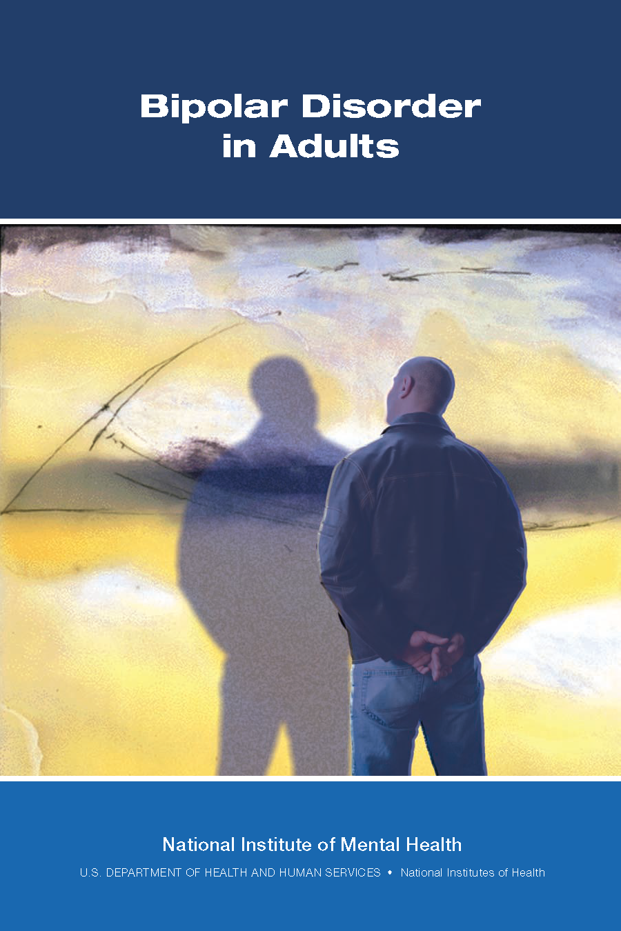 bipolar ii workbook eBay